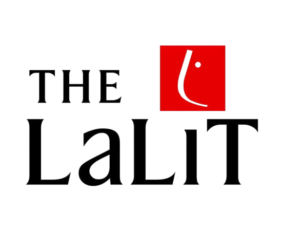 Company logo 2